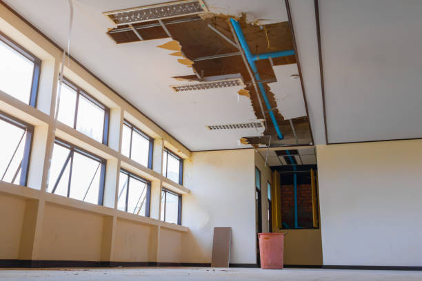 Best Flood damage cleanup  in Kenyon, MN