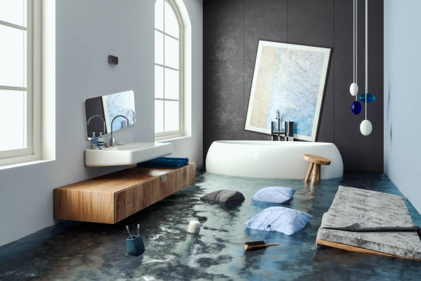 Best Residential water damage restoration  in Kenyon, MN