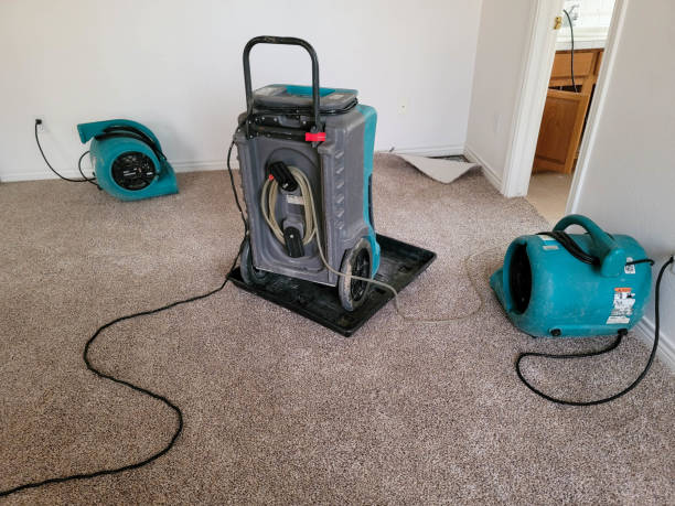 Best Water damage cleanup near me  in Kenyon, MN