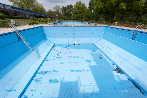 Best Water damage contractors near me  in Kenyon, MN