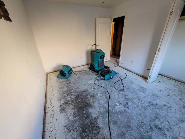 Best Basement water damage restoration  in Kenyon, MN
