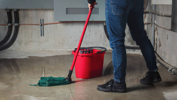 Best Sewage cleanup and water damage restoration  in Kenyon, MN