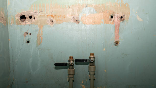 Best 24-hour water damage restoration  in Kenyon, MN