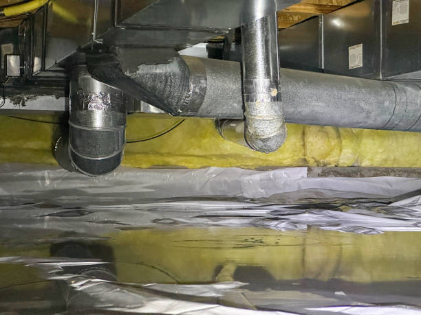 Best Fire Damage Restoration  in Kenyon, MN