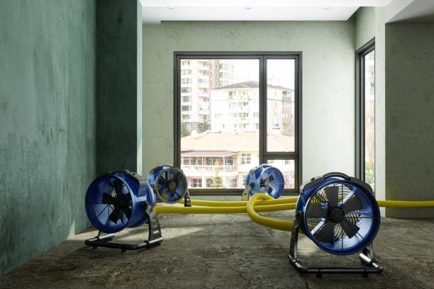 Best Commercial water damage restoration  in Kenyon, MN